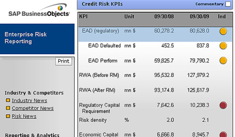 Risk Reporting